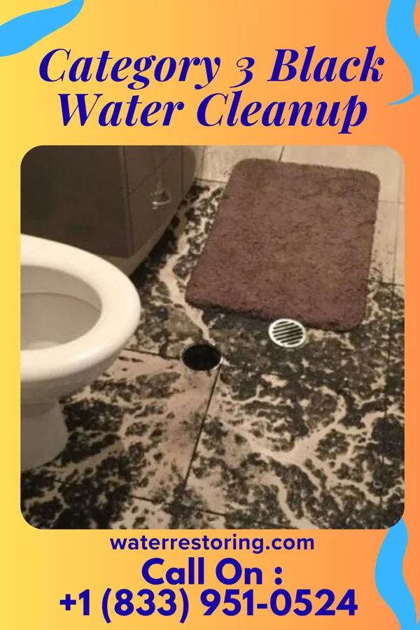 Category 3 Black Water Cleanup in Elgin, TX