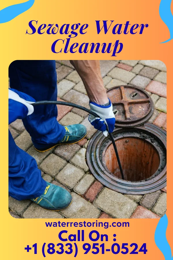 Sewage Water Cleanup in Elgin, TX